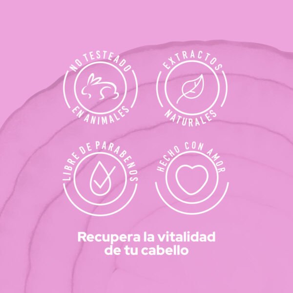 ACONDICIONADOR CON CEBOLLA ANYELUZ